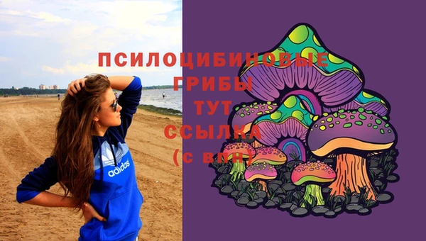 метамфетамин Алексин
