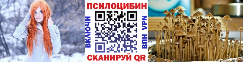 Галлюциногенные грибы Cubensis  купить   Северодвинск 