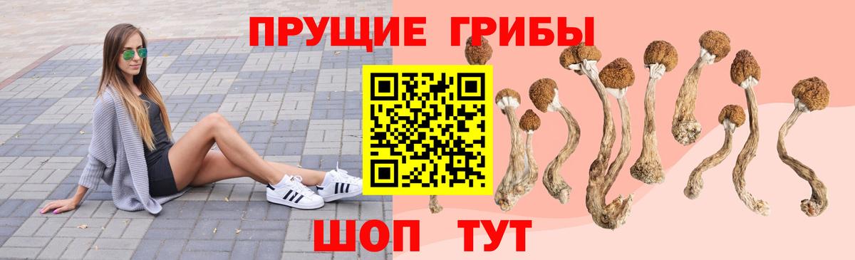 Галлюциногенные грибы GOLDEN TEACHER  Вход с VPN  Северодвинск 