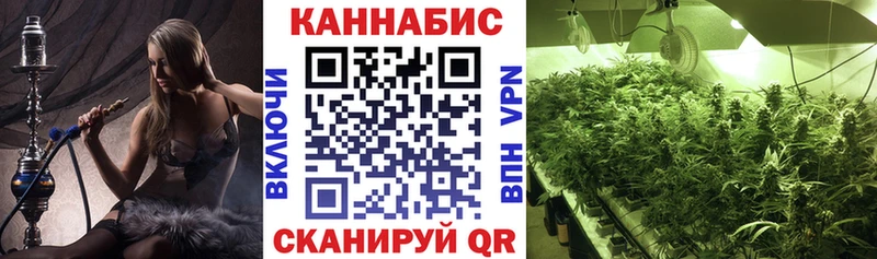 где найти наркотики  ссылка на мегу онион  Конопля Ganja  это наркотические препараты  Северодвинск 